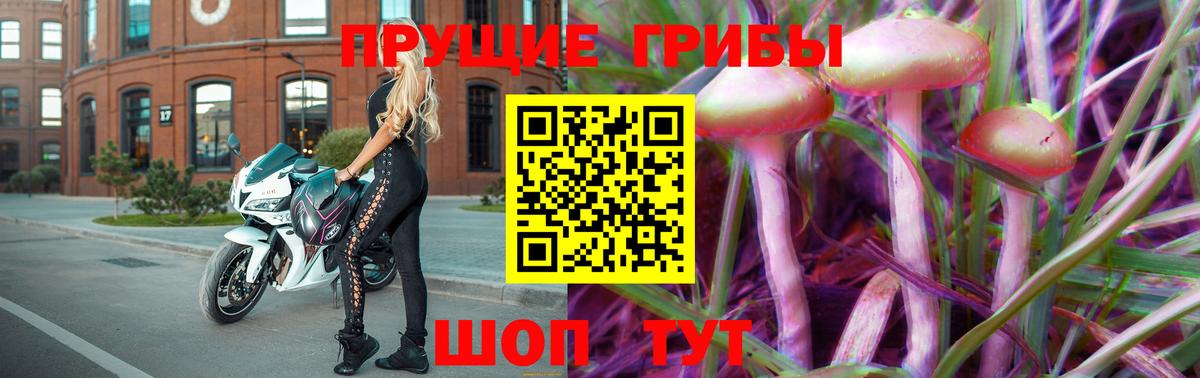 Галлюциногенные грибы мухоморы  купить закладку  Петровск 