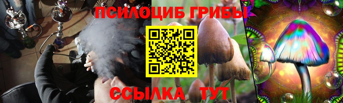 Псилоцибиновые грибы Cubensis Петровск