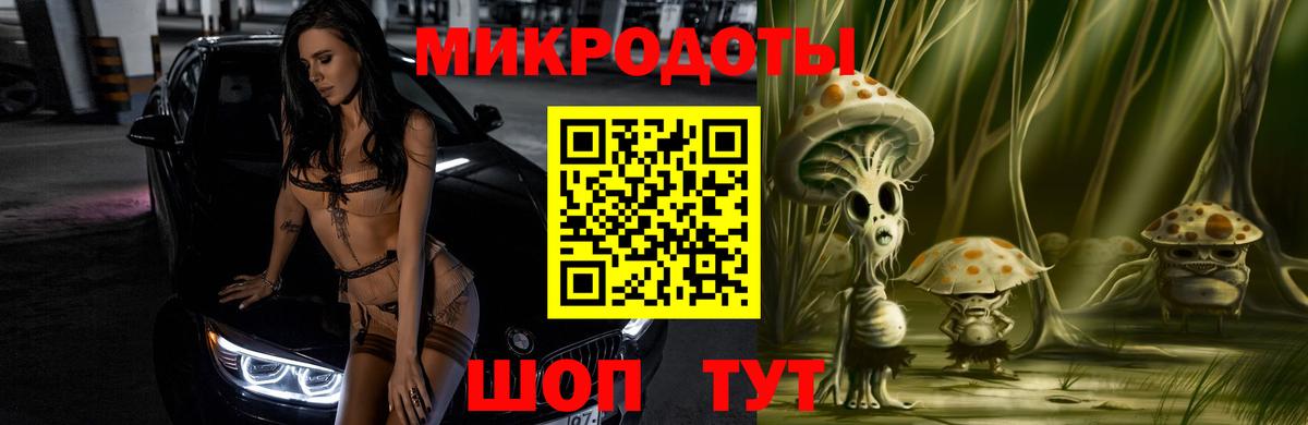 Псилоцибиновые грибы Psilocybe Петровск